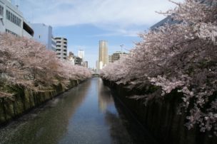 桜でも有名な中目黒はショコラも充実しています。